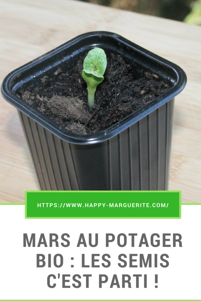 Le mois de mars au potager bio est bien rempli ! Voilà ce que j'y fais 