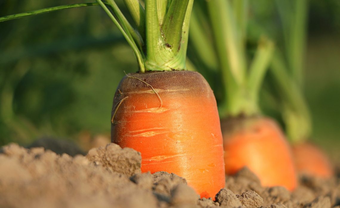 Manger local sain et de saison pas cher