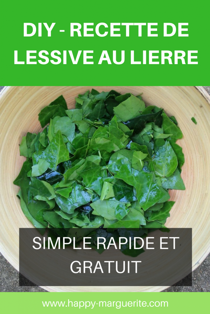 utiliser le lierre grimpant : faire de la lessive