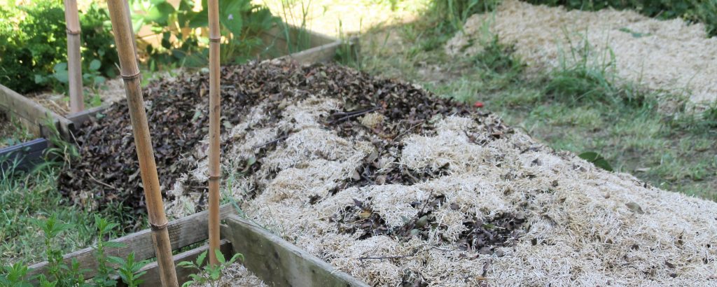 Butte permaculture lasagne