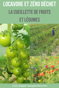 Cueillir ses fruits et legumes chez le producteur